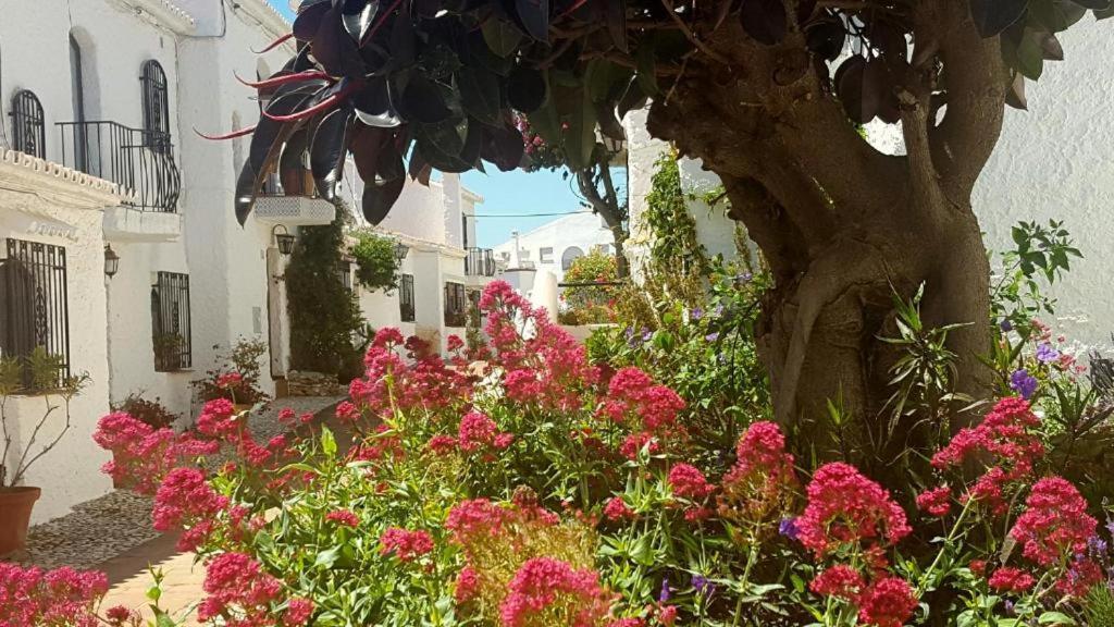 Apartamento Capistrano Village Nerja Zewnętrze zdjęcie